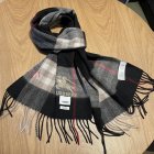 Burberry Scarves 69