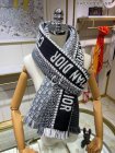 DIOR Scarves 37