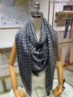Louis Vuitton Scarves 213