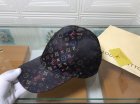 Louis Vuitton High Quality Hats 223
