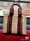Chloe Original Quality Handbags 342