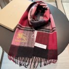 Burberry Scarves 127