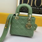 DIOR High Quality Handbags 787