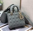 DIOR Original Quality Handbags 829