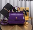 Dolce & Gabbana High Quality Handbags 46