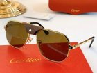 Cartier High Quality Sunglasses 951