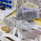 DIOR Scarves 220