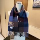 Burberry Scarves 117