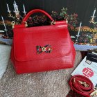 Dolce & Gabbana High Quality Handbags 158