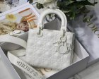 DIOR Original Quality Handbags 1085