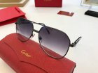 Cartier High Quality Sunglasses 388
