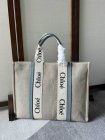 Chloe Original Quality Handbags 105