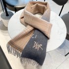 DIOR Scarves 67