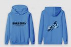 Burberry Men's Hoodies 149