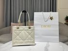 DIOR High Quality Handbags 501