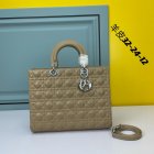 DIOR High Quality Handbags 528