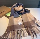 Burberry Scarves 273