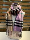 Burberry Scarves 107