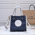 Coach High Quality Handbags 482
