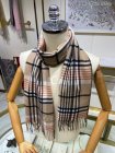Burberry Scarves 49