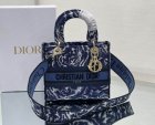 DIOR Original Quality Handbags 464