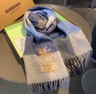Burberry Scarves 136