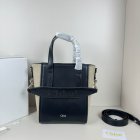 Coach High Quality Handbags 979