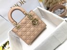 DIOR Original Quality Handbags 1031