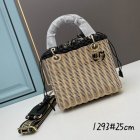 DIOR High Quality Handbags 491