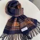 Burberry Scarves 25