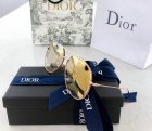 DIOR High Quality Sunglasses 1036