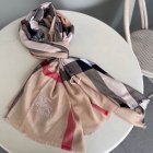 Burberry Scarves 290