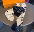 Louis Vuitton Scarves 283