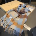 Burberry Scarves 233