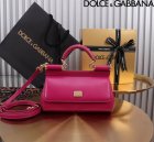 Dolce & Gabbana High Quality Handbags 555