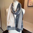 Louis Vuitton Scarves 24