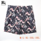 Burberry Men's Shorts 118