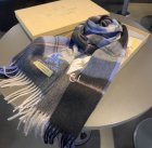 Burberry Scarves 171