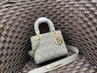 DIOR High Quality Handbags 101