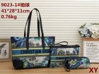DIOR Normal Quality Handbags 42