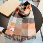 Burberry Scarves 248