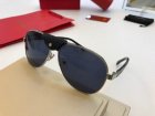 Cartier High Quality Sunglasses 774