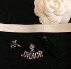 Dior Jewelry Earrings 461
