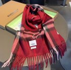 Burberry Scarves 41