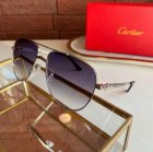 Cartier High Quality Sunglasses 1045