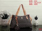 Louis Vuitton Normal Quality Handbags 106