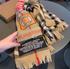 Burberry Scarves 360