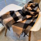 Burberry Scarves 231