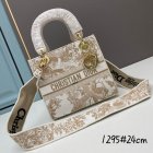 DIOR High Quality Handbags 430