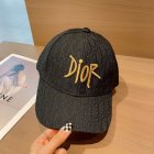 DIOR Hats 71